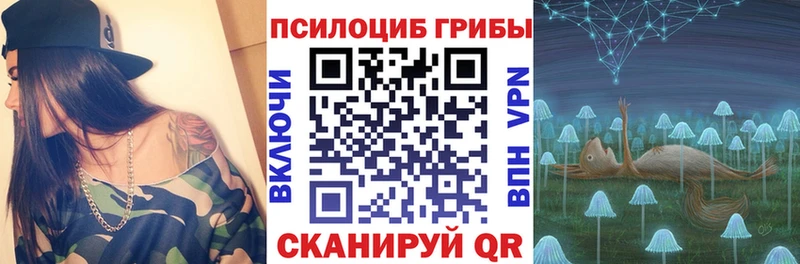 Купить  Славянск-на-Кубани  Псилоцибиновые грибы MAGIC MUSHROOMS 